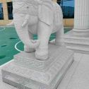 丹东 白麻花岗岩动物异形石雕-大象